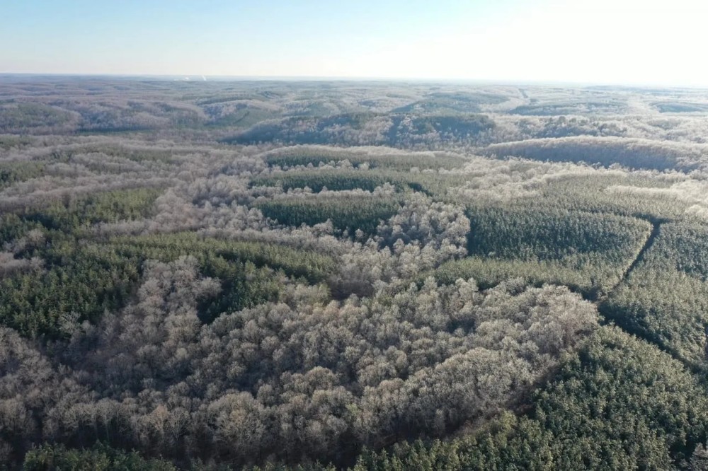 935 Acre Hunting Conservationist Dream Property featured image