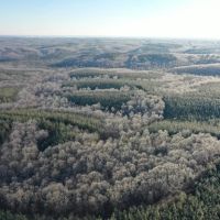 935 Acre Hunting Conservationist Dream Property