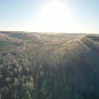 935 Acre Hunting Conservationist Dream Property images 2