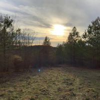 935 Acre Hunting Conservationist Dream Property images 3