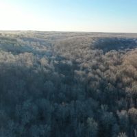 935 Acre Hunting Conservationist Dream Property images 4
