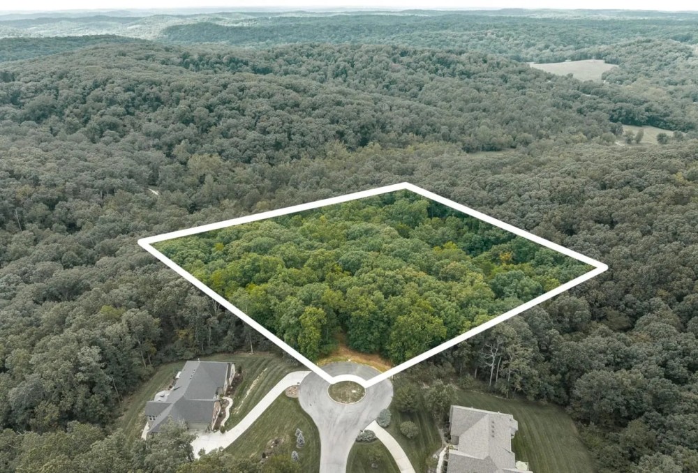 Wild Wood Lot 3.1 featured image