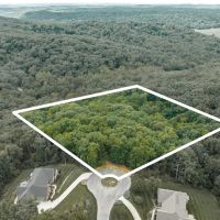 Wild Wood Lot 3.1