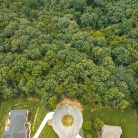 Wild Wood Lot 3.1 images 5