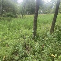 Moberly Oasis Lake Lot Tract 19 images 2