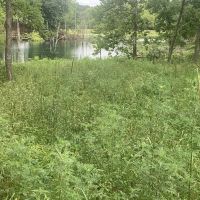 Moberly Oasis Lake Lot Tract 19 images 3