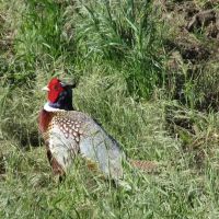 Box Butte Creek Recreation Alliance Nebraska images 3