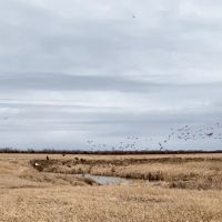 Box Butte Creek Recreation Alliance Nebraska images 5