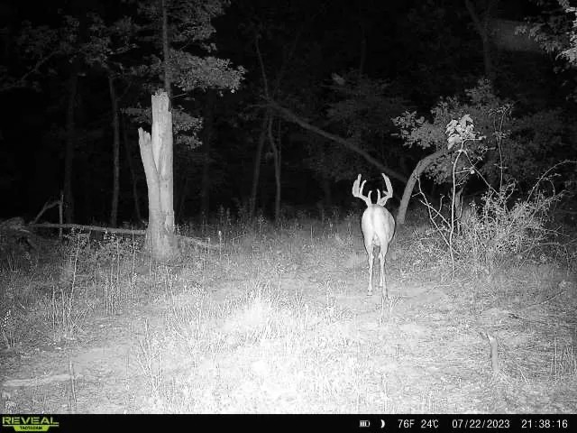 Ultimate Hunting Paradise in Allamakee County Iowa featured image