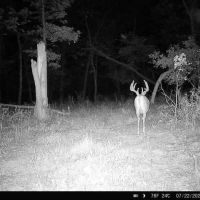 Ultimate Hunting Paradise in Allamakee County Iowa images 1