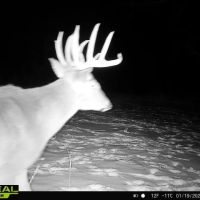Ultimate Hunting Paradise in Allamakee County Iowa images 2