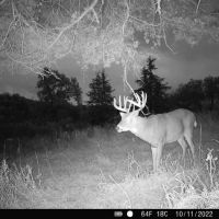 Ultimate Hunting Paradise in Allamakee County Iowa images 3