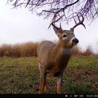 Ultimate Hunting Paradise in Allamakee County Iowa images 4