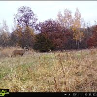 Ultimate Hunting Paradise in Allamakee County Iowa images 5