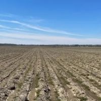 204.33 Acres in Tallahatchie County in Charleston MS images 2