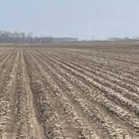 204.33 Acres in Tallahatchie County in Charleston MS images 5