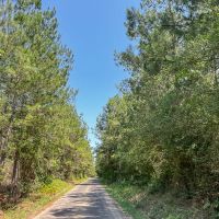 25 Acres T-7 Saron