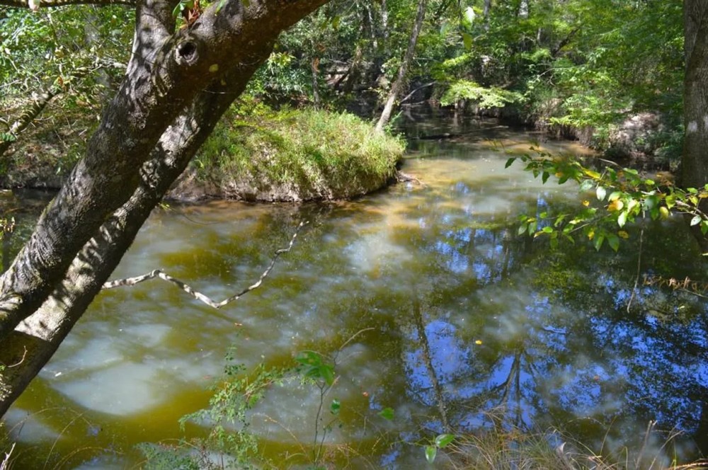 37 Acres of Waterfront Recreational Land for Sale featured image