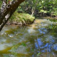 37 Acres of Waterfront Recreational Land for Sale