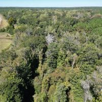 37 Acres of Waterfront Recreational Land for Sale images 2