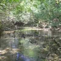 37 Acres of Waterfront Recreational Land for Sale images 5