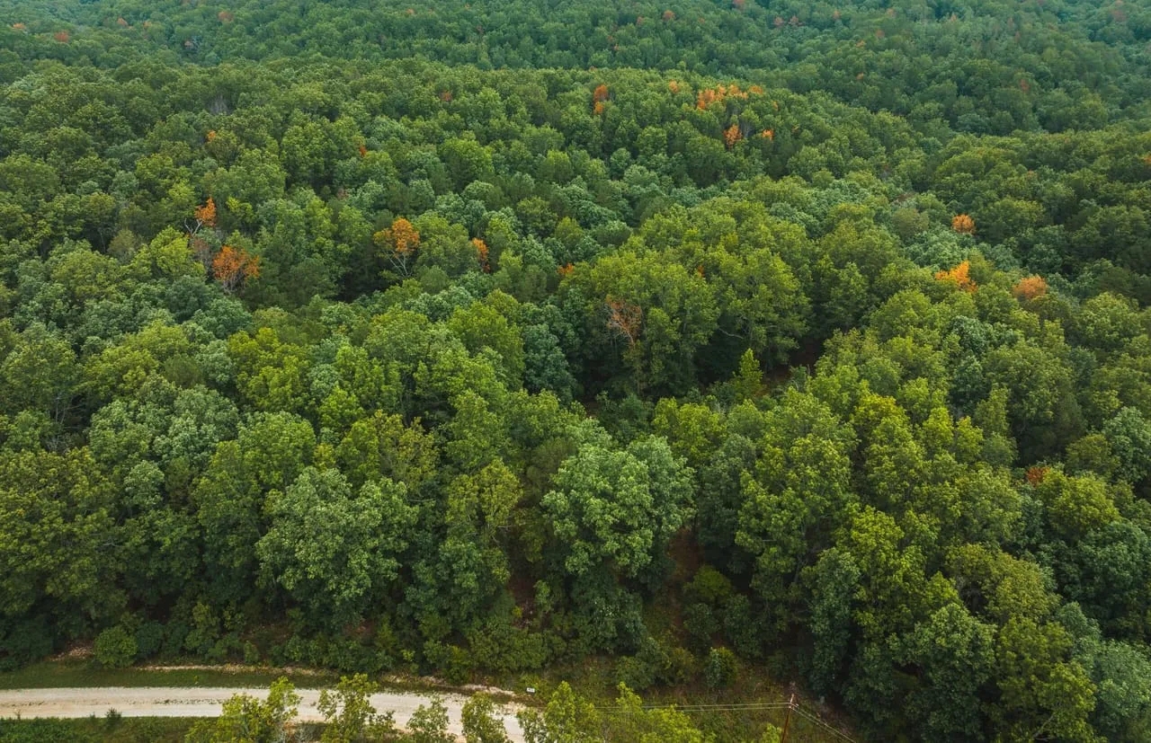 Whispering Trails Hunting Land for Sale