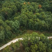 Whispering Trails images 4