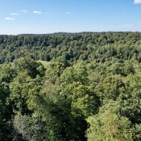 Rimer Rd. Armstrong County - 146 acres images 2