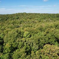 Rimer Rd. Armstrong County - 146 acres images 5