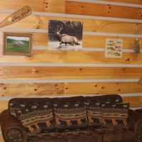 TWO SECLUDED CABINS NEAR THE BUFFALO NATIONAL RIVER images 5