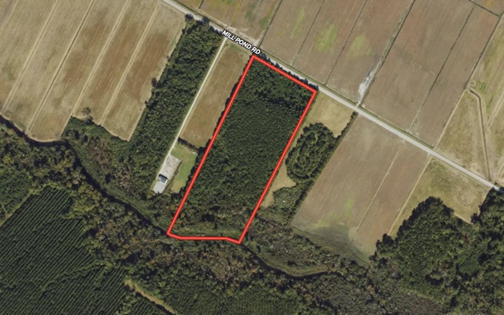 15.24 Acres of Recreational and Investment Land For Sale in Pamlico County NC featured image