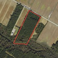 15.24 Acres of Recreational and Investment Land For Sale in Pamlico County NC