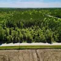 15.24 Acres of Recreational and Investment Land For Sale in Pamlico County NC images 2