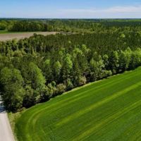 15.24 Acres of Recreational and Investment Land For Sale in Pamlico County NC images 3
