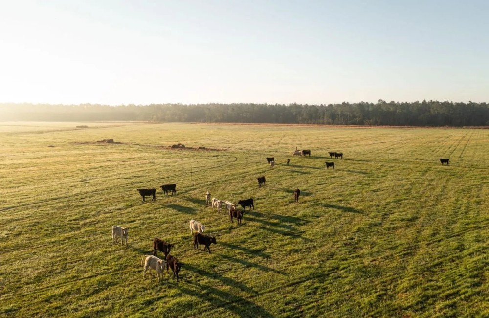 Gardner Road Farm featured image