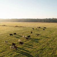Gardner Road Farm