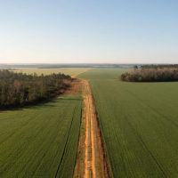 Gardner Road Farm images 2