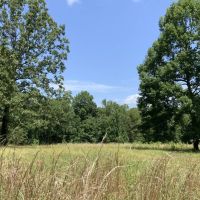222 Acres Hunting Property Minutes from Kentucky Lake
