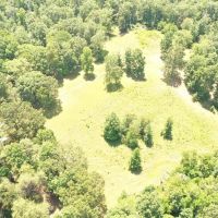 222 Acres Hunting Property Minutes from Kentucky Lake images 3