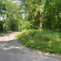 48.81 -acres River Front Property images 3