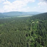 48.81 -acres River Front Property images 5