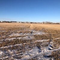 Midway Parcel 1