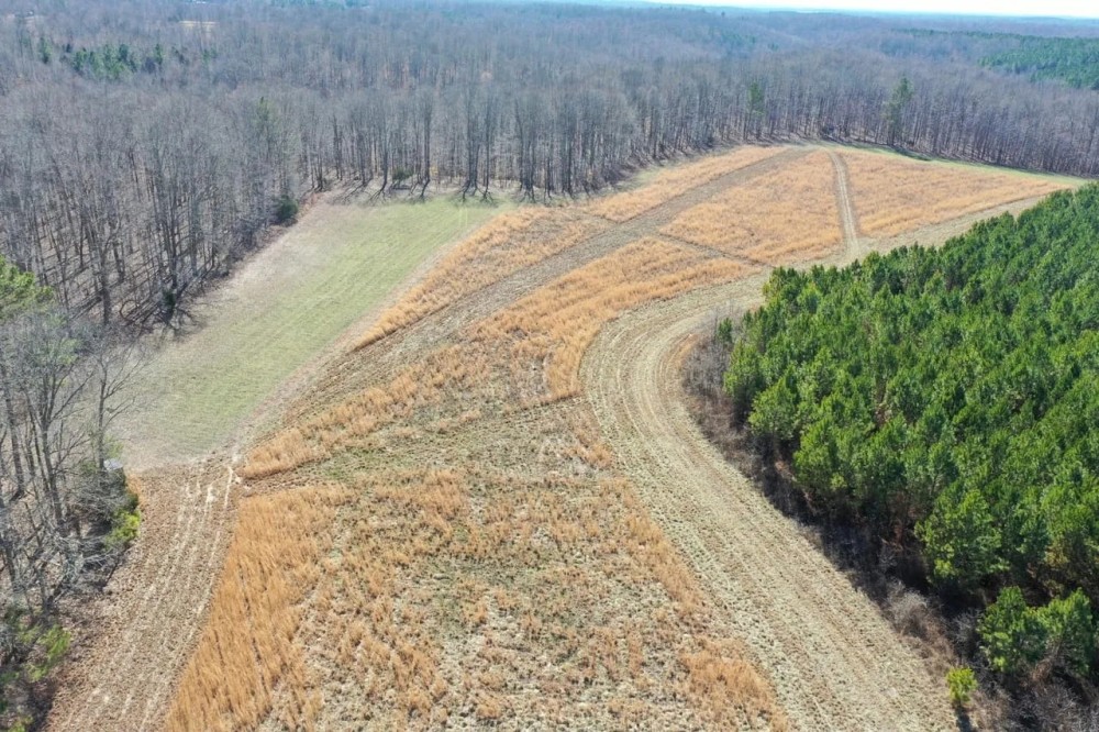 280 Acre Hunters Dream Property in Giles County Tennessee featured image