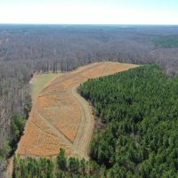 280 Acre Hunters Dream Property in Giles County Tennessee images 3