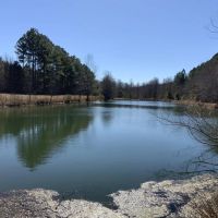 280 Acre Hunters Dream Property in Giles County Tennessee images 4