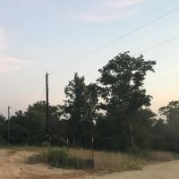 Hunting land in Oakwood Texas