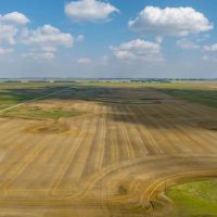AUCTION Rolette Co. 850.67 Acres -