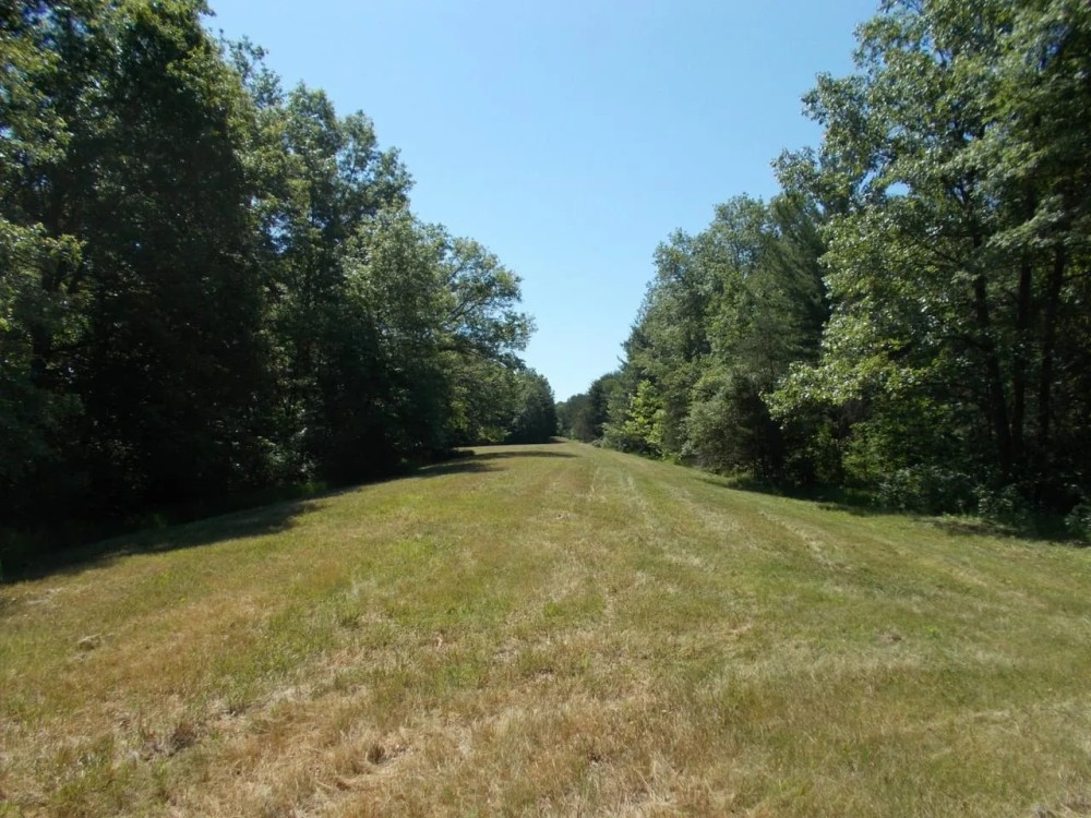 Staunton Vacant Land Lot 11 featured image