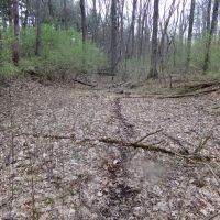 Staunton Vacant Land Lot 11 images 2