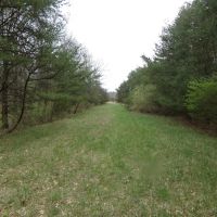 Staunton Vacant Land Lot 11 images 5